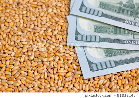 Currency and wheat grain . Export ban, embargo on wheat and flour supplies to Europe , Asia and Africa, famine and crisis 91832145