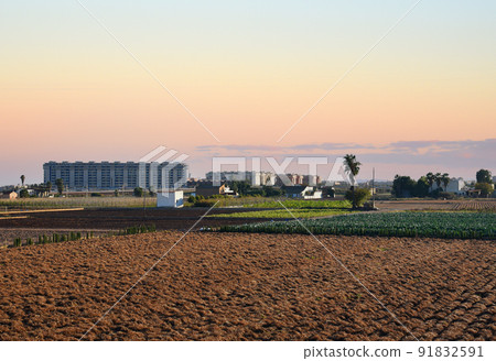 Farmland and farm field in rural. Village house at agriculture field in countryside. 91832591