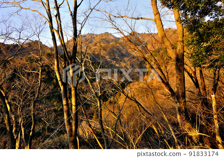 朝日染山、三重山、丹澤 朝日染山、三重山、丹澤 91833174