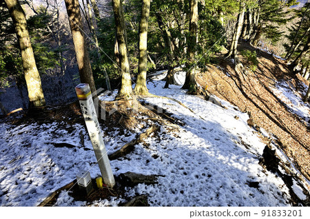 丹澤的能樂爪山峰 丹澤的能樂爪山峰 91833201