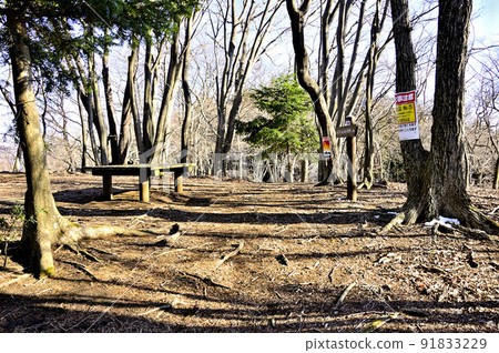 丹澤邊室山山頂 丹澤邊室山山頂 91833229