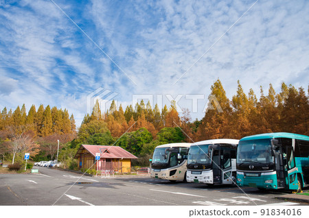 [兵庫縣] 11月染成秋色的神戶市立植物園 91834016