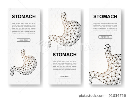 Set of three Stomach polygonal vertical banners. 3d Organ anatomy low poly symbols with connected dots. Vertical illustration for homepage design. 91834736
