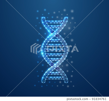 DNA spiral 3d symbol in blue low poly style. Biotech, science, genome design concept illustration. Genetic helix polygonal wireframe. 91834761