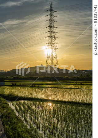 Komaki mountain castle distant view in the morning 91835443