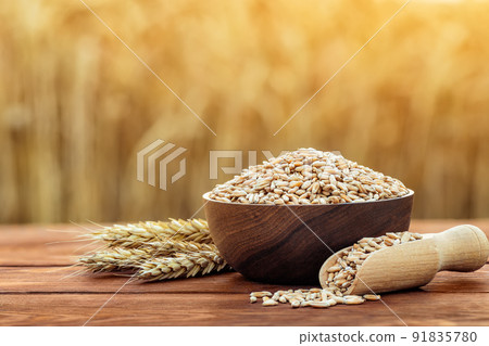 wheat grains in wooden bowl and scoop on table outdoors 91835780