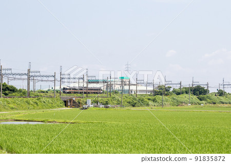 [Kansai Line] Limited express train that runs through the countryside 91835872