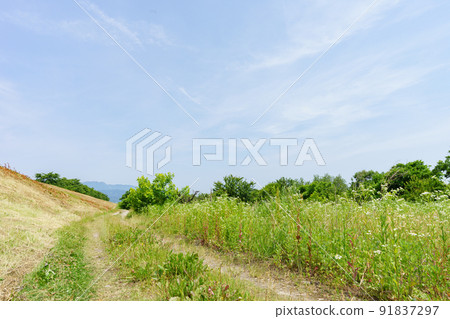 A casual landscape photograph under the bank 91837297