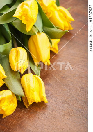 yellow tulips. bright spring flowers on wooden background 91837925