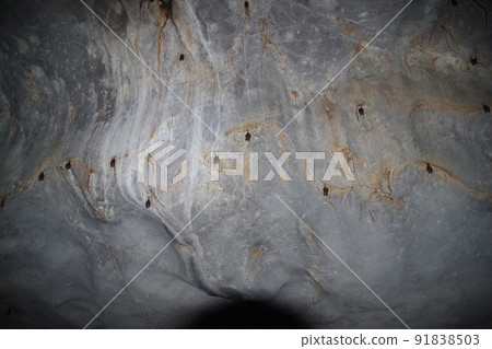 Wind Cave in Bau, Sarawak, Borneo, Malaysia 91838503