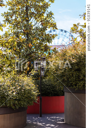 Triple lantern on the path in the middle of decorative southern trees and bushes in the park against the backdrop of the Ferris wheel. landscape design Triple lantern on the path in the middle of decorative southern trees and bushes in the park against the backdrop of the Ferris wheel. landscape design 91839141
