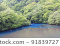 A moment of Lake Shima 91839727