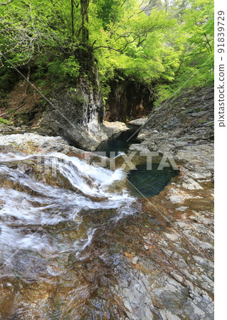 Ten thousand holes Ten thousand holes 91839729