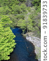 Sawa pouring into Lake Okushima 91839733