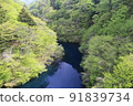 Sawa pouring into Lake Okushima 91839734