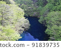 Sawa pouring into Lake Okushima 91839735