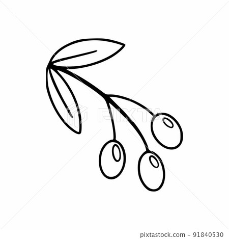 A sprig of olives in the style of a doodle. Vector icon with olives. Vector sketch in the style of hand drau. 91840530