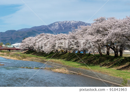 Sikaichigawa櫻花行 91841963