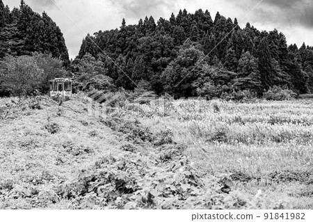 老能登鐵路能登線廢棄的鐵路痕跡 老能登鐵路能登線廢棄的鐵路痕跡 91841982