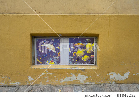 the fish drawn on the window 91842252