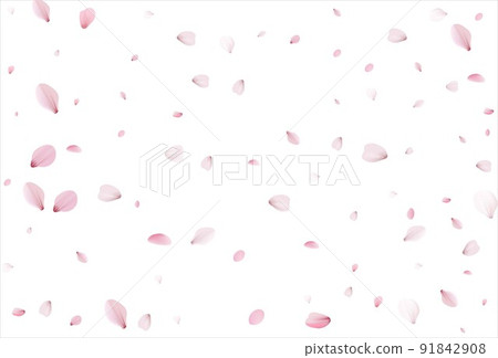 Cherry petals backdrop. Sakura petals background. Cherry petals backdrop. Sakura petals background. 91842908