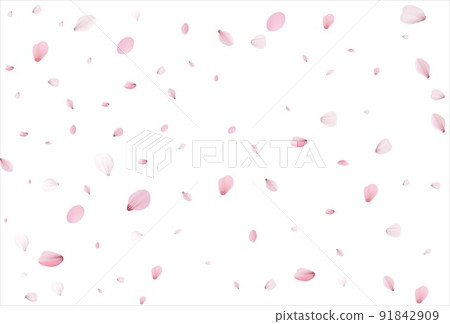 Cherry petals backdrop. Sakura petals background. Cherry petals backdrop. Sakura petals background. 91842909