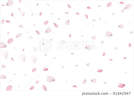 Sakura petals background. Cherry petals Sakura petals background. Cherry petals 91842947