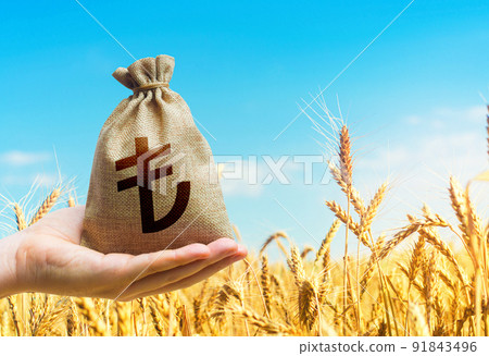 Wheat field and turkish lira money bag. Agroindustry and the agricultural business. World food security crisis, high prices. Grains and cereals deficits, livestock feed. Starvation and famine Wheat field and turkish lira money bag. Agroindustry and the agricultural business. World food security crisis, high prices. Grains and cereals deficits, livestock feed. Starvation and famine 91843496