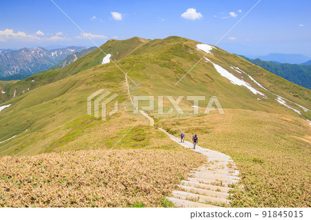 A ridgeline in the early summer that continues from the vicinity of the summit of Mt. Tairapyo to the direction of Mt. Sennokura 91845015