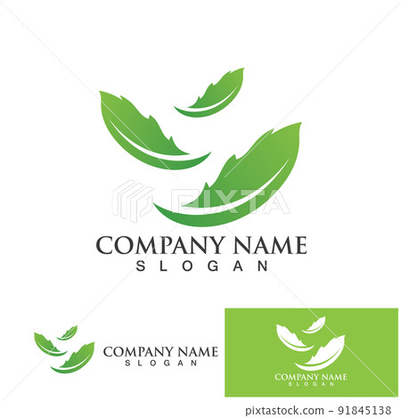 Green leaf ecology Logo nature element Green leaf ecology Logo nature element 91845138