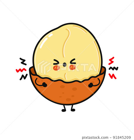 Cute angry macadamia character. Vector hand drawn cartoon kawaii character illustration icon. Isolated on green background. Sad macadamia character concept Cute angry macadamia character. Vector hand drawn cartoon kawaii character illustration icon. Isolated on green background. Sad macadamia character concept 91845209