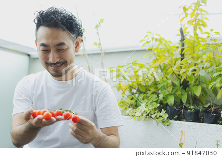 Veranda vegetable garden, bearded man 91847030