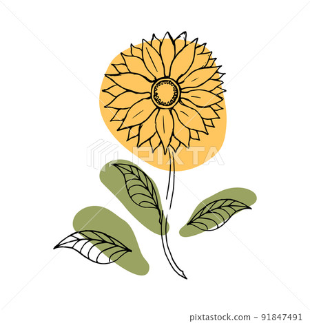 Floral hand drawn elements. Black and white illustration. Cute little leaves, sunflower. For wall art, textile and cards. Vector Art 91847491