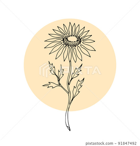 Abstract minimalist line art posters, wall art, cards with doodle organic shapes, modern trendy design, contemporary artwork. Vector illustration Abstract minimalist line art posters, wall art, cards with doodle organic shapes, modern trendy design, contemporary artwork. Vector illustration 91847492