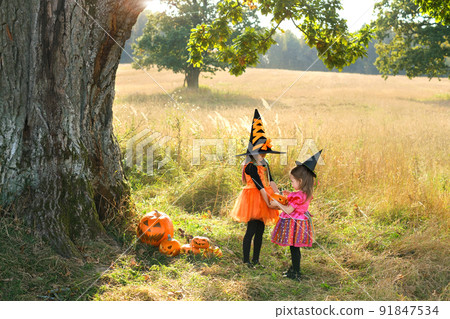 Children in carnival costumes on Halloween day play with pumpkins in a field under a large oak tree at sunset on an autumn October day. trick or treating. Children in carnival costumes on Halloween day play with pumpkins in a field under a large oak tree at sunset on an autumn October day. trick or treating. 91847534