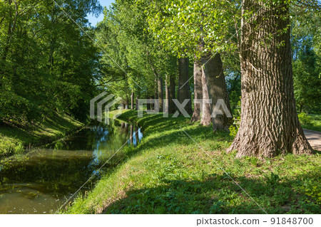 Lydynia River In Ciechanow Lydynia River In Ciechanow 91848700