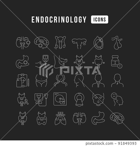 Set of linear icons of Endocrinology 91849393