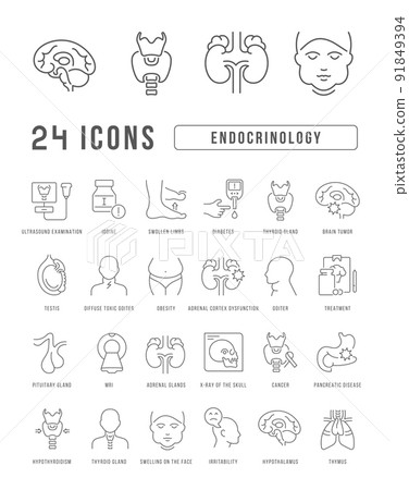 Set of linear icons of Endocrinology 91849394