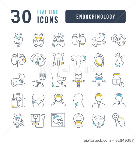 Set of linear icons of Endocrinology Set of linear icons of Endocrinology 91849397