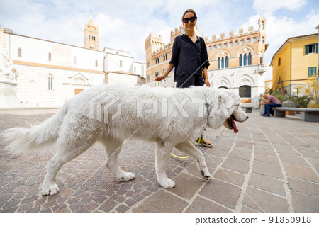 Woman with dog walking in Grosseto town the center of Maremma region in Italy 91850918