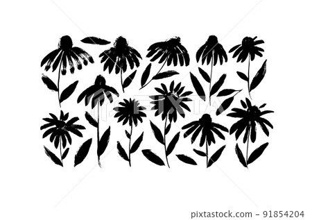 Hand drawn vector chamomiles brush painted flowers 91854204