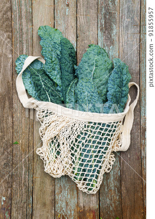 Lacinato kale in eco-bag 91855957