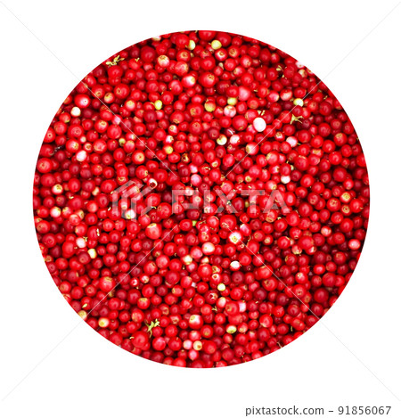 Red ripe cranberry Red ripe cranberry 91856067