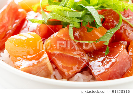 Tuna and salmon two-color seafood rice bowl up. Tuna and salmon two-color seafood rice bowl up. 91858516