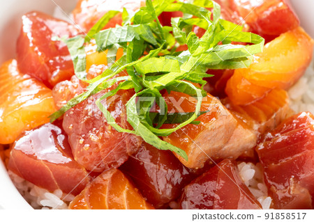 Tuna and salmon two-color seafood rice bowl up. Tuna and salmon two-color seafood rice bowl up. 91858517