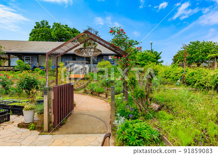 東京都足立區足立市農業公園香草園 91859083