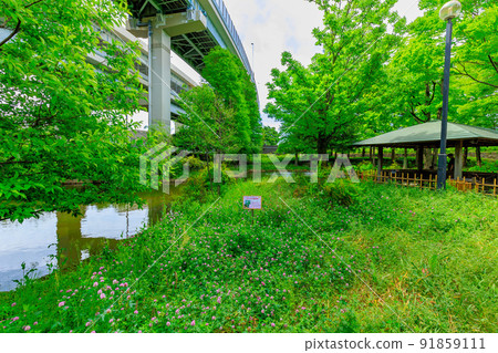 Adachi Ward Urban Agricultural Park Pond and Azumaya in Adachi Ward, Tokyo 91859111