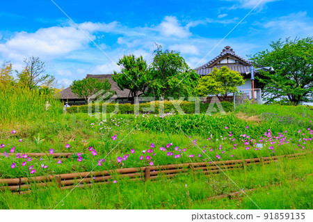 Adachi Ward Urban Agricultural Park in Adachi Ward, Tokyo Old folk house and nagayamon 91859135