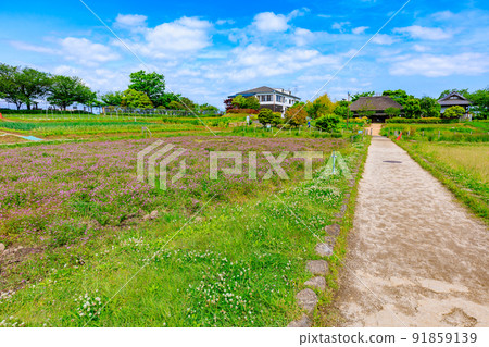 東京足立區足立區都市農業公園 舊民居和田野 91859139