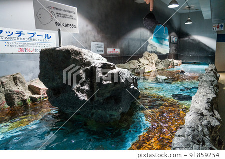 Noboribetsu Marine Park Nixe Touch Pool 91859254